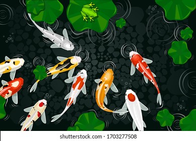 Koi Fish Painting Vector Illustration