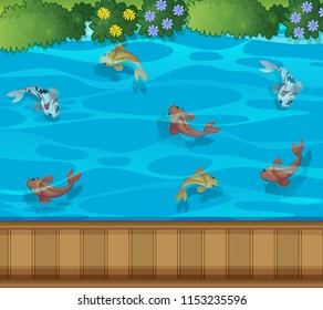 Koi fish pond aerial view illustration