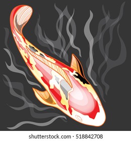 Koi fish red, black and white color swim in water black color and white wave illustration computer nice graphic design and clipping path.