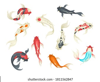 Juego de peces Koi, ilustración vectorial plana aislada en fondo blanco. Carpa japonesa de pescado decorativa, vista superior. Símbolo de suerte, riqueza.