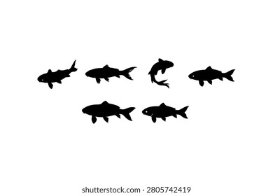 Koi Fish Silhouette Vector Collection Set
