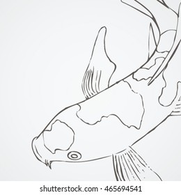 KOI FISH Sketch 1