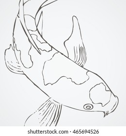 KOI FISH Sketch 2