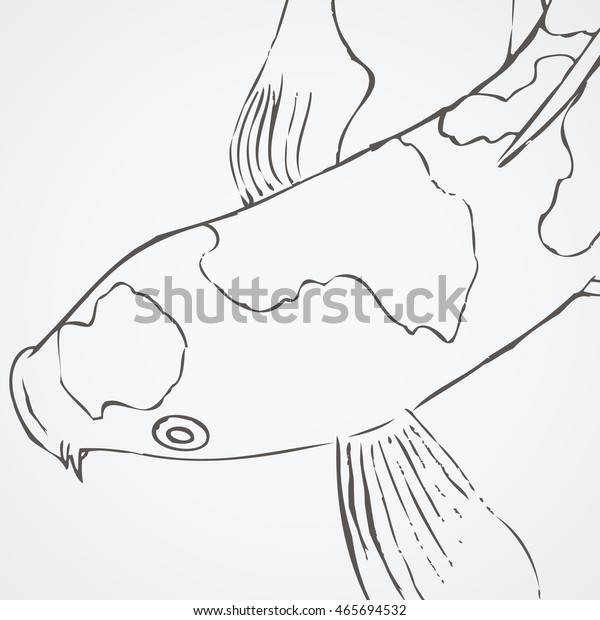 Koi Fish Sketch 4 Royalty Free Stock Image