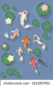 Pescado de Koi nadando en un estanque con hermosas nenúfares, ilustración vectorial plana. Lago con decorativos peces japoneses de carpa y flores de loto, vista de arriba.