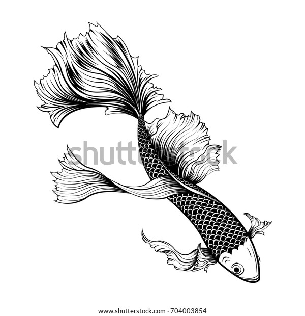 Koi fish tattoo by hand drawing.Tattoo art highly detailed in line art