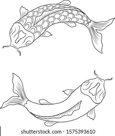 Koi fish for tattoo style on white isolated background.Symbol of Japanese culture design on background.Koi carp vector illustration.
