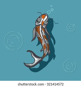 koi fish tillustration