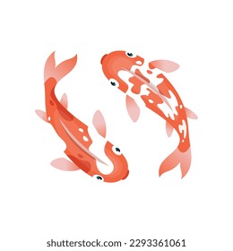 Koi fish top view. Cartoon illustration of two oriental rainbow carps. Vector 10 EPS.