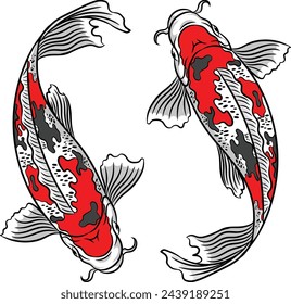 Koi fish vector art drawing illustration isolated in white background