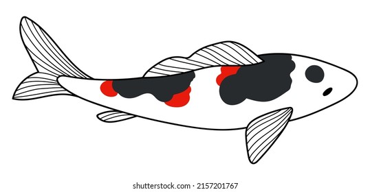 Koi fish vector art. Hand drawn illustration