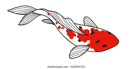 Arte vectorial de peces Koi. Ilustración dibujada a mano