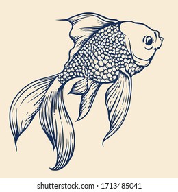 Koi fish vector art illustration