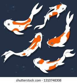 Koi fish vector cartoon flat set isolated on a white background.