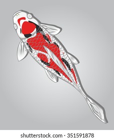 Koi Fish. Vector design