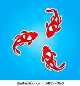 koi fish vector design ilustration