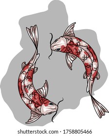 Koi Fish Vector Design, You can use to Phone Wallpaper, PC Wallpaper, make banner, poster, etc.