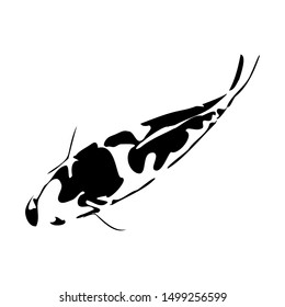 koi fish vector in the dominant black and white colour of koi. elegant koi image. this is one kind of koi black and white