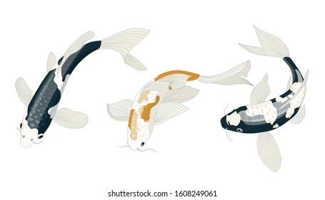 Koi Fish Vector Element Pack Animal Element Set