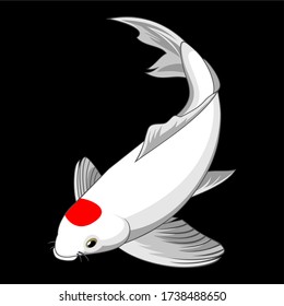 koi fish vector illustration isolated on black