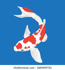 Koi fish vector illustration japanese carp and colorful oriental koi in Asia