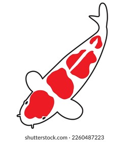 Koi fish vector illustration of Japanese goldfish isolated background