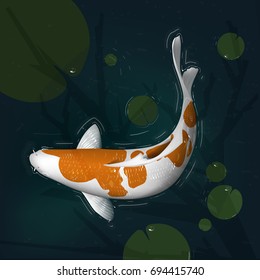 Koi fish vector illustration japanese carp 