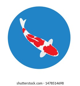 koi fish. vector illustration. white background.
