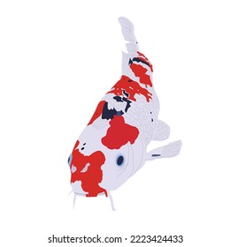 A Koi Fish Vector illustration, white background.