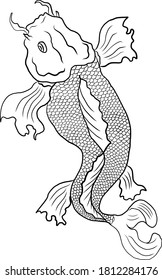 Koi fish vector for printing on shirt on isolated white background.