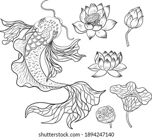 Koi fish vector for printing on shirt on isolated white background.Hand drawn lotus and koi fish carp vector for printing on background.Lucky Chinese animal illustration for painting.