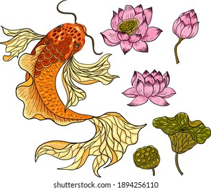 Koi-Fisch-Vektorgrafik zum Druck auf Hemd auf isoliertem weißem Hintergrund.Handgezeichneter Lotus und Koi-Karpfen-Vektorgrafik zum Drucken auf Hintergrund.Lucky-Chinesische Tiergrafik zum Malen.