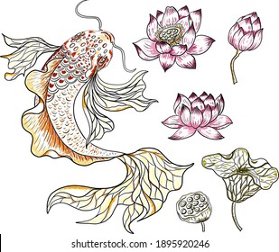 Koi fish vector for printing on shirt on isolated white background.Hand drawn lotus and koi fish carp vector for printing on background.Lucky Chinese animal illustration for painting.