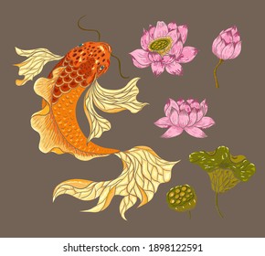 Koi fish vector for printing on shirt on isolated white background.Hand drawn lotus and koi fish carp vector for printing on background.Lucky Chinese animal illustration for painting.