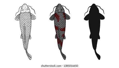 Koi fish vector tattoo by hand drawing.Beautiful fish on white background.Black and white graphics design art highly detailed in line art style.Carp fish for tattoo or wallpaper.