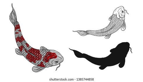 Koi fish vector tattoo by hand drawing.Beautiful fish on white background.Black and white graphics design art highly detailed in line art style.Carp fish for tattoo or wallpaper.