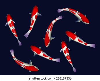 koi fish vectors