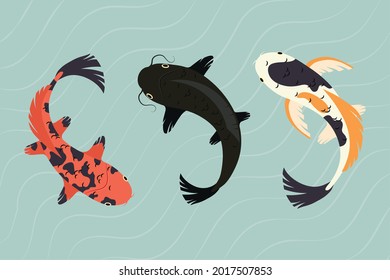 koi fishes collection on water