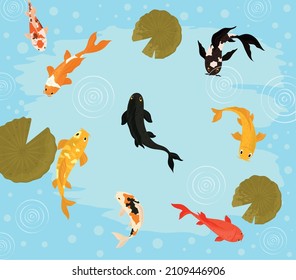 koi fishes floating and leaves
