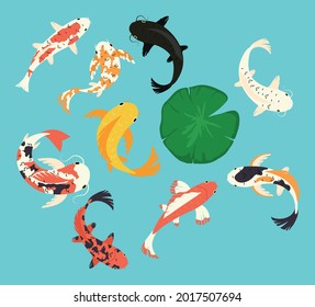 koi fishes icon collection on blue background