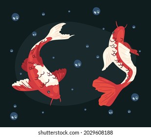 koi fishes of red color in the water