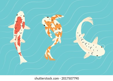 koi fishes set on water