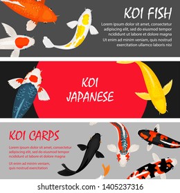 Koi fishes vector banners of set template. Fish japan traditional banner illustration