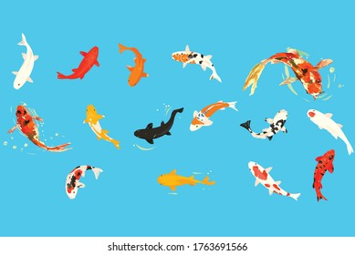 koi fishes vector japanese lake 