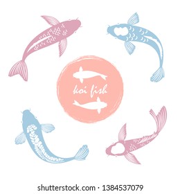 Koi japanese fish vector isolated on white background