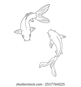 Koi karps Vector isolated two Koi karps top view simple minimal line drawing
