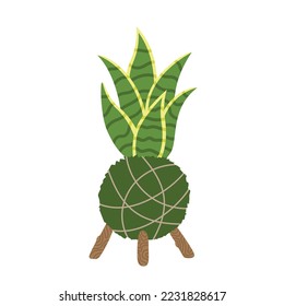 Kokedama. Japanese moss plant. Home hanging garden. Ideal for stickers, advertising, gift and design.