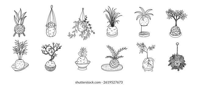  Kokedama set. Japanese moss plant. Home gardening art