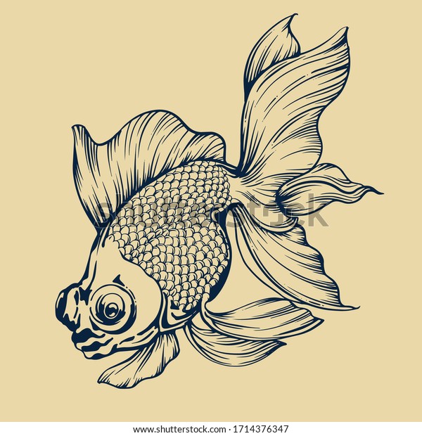 Koki Golden Fish Vector Illustration Stock Vector (Royalty Free ...