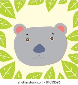 kola bear in forest 9